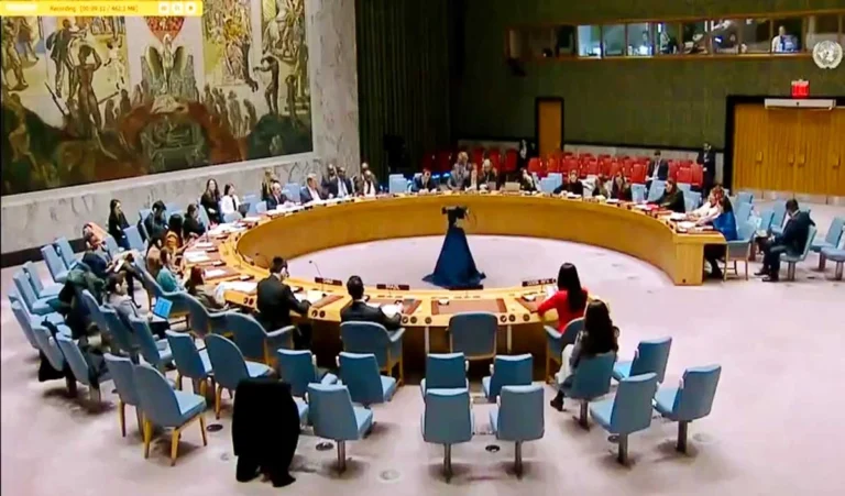 UN में India के करारे जवाब ने Pakistan और उसके तोते OIC को दिखाया आईना, बगलें झाँकने लगा Islamabad